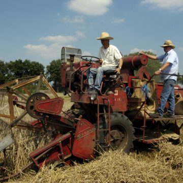 Auwerwetse Boekelse Oogstdag 2022