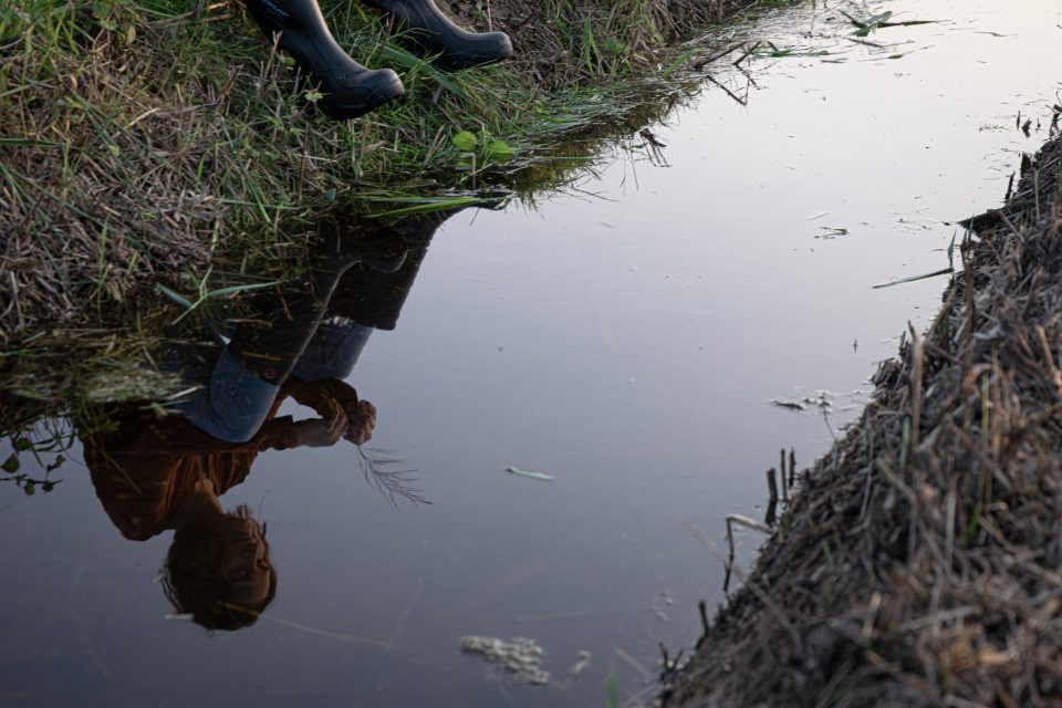Familieopstellingen en Boerderijopstellingen