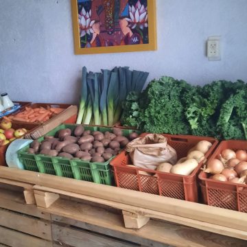 Nieuws Deelplaats Boekel-Venhorst