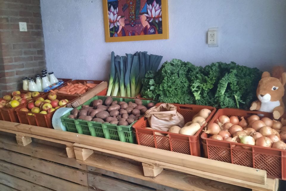 Nieuwe actie Deelplaats Boekel-Venhorst bij Kruidvat
