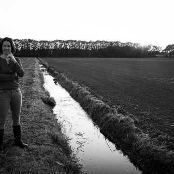 Familieopstellingen en Boerderijopstellingen bij Dieuwke | Veldwerk