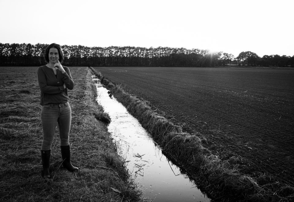 Familieopstellingen en Boerderijopstellingen bij Dieuwke | Veldwerk