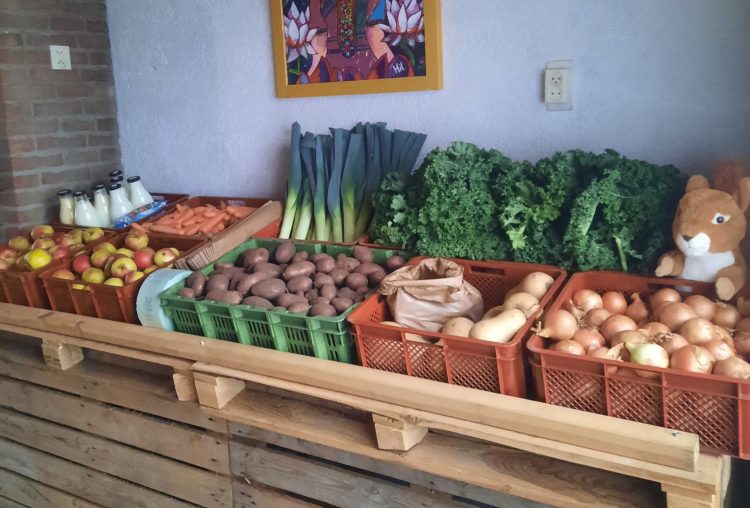 Jumbo Boekel versterkt Deelplaats Boekel-Venhorst met nieuwe sponsoring