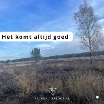 Intense emoties in je HSP gezin