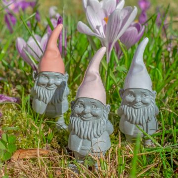 Een mooi initiatief wordt beloond!