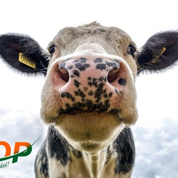 DOP kritisch op nieuwe plannen buitengebied