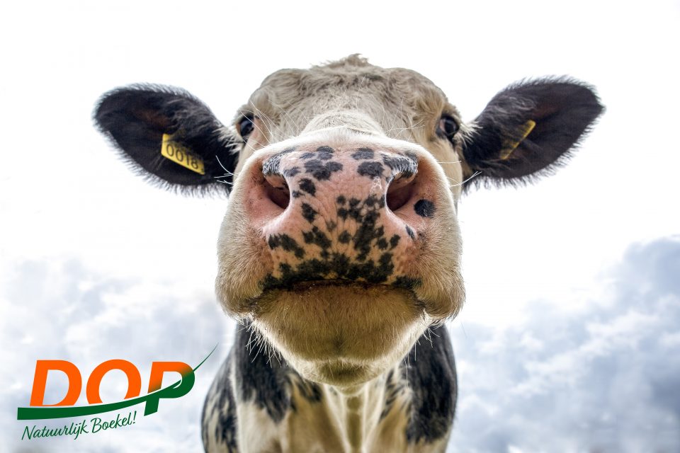 DOP kritisch op nieuwe plannen buitengebied