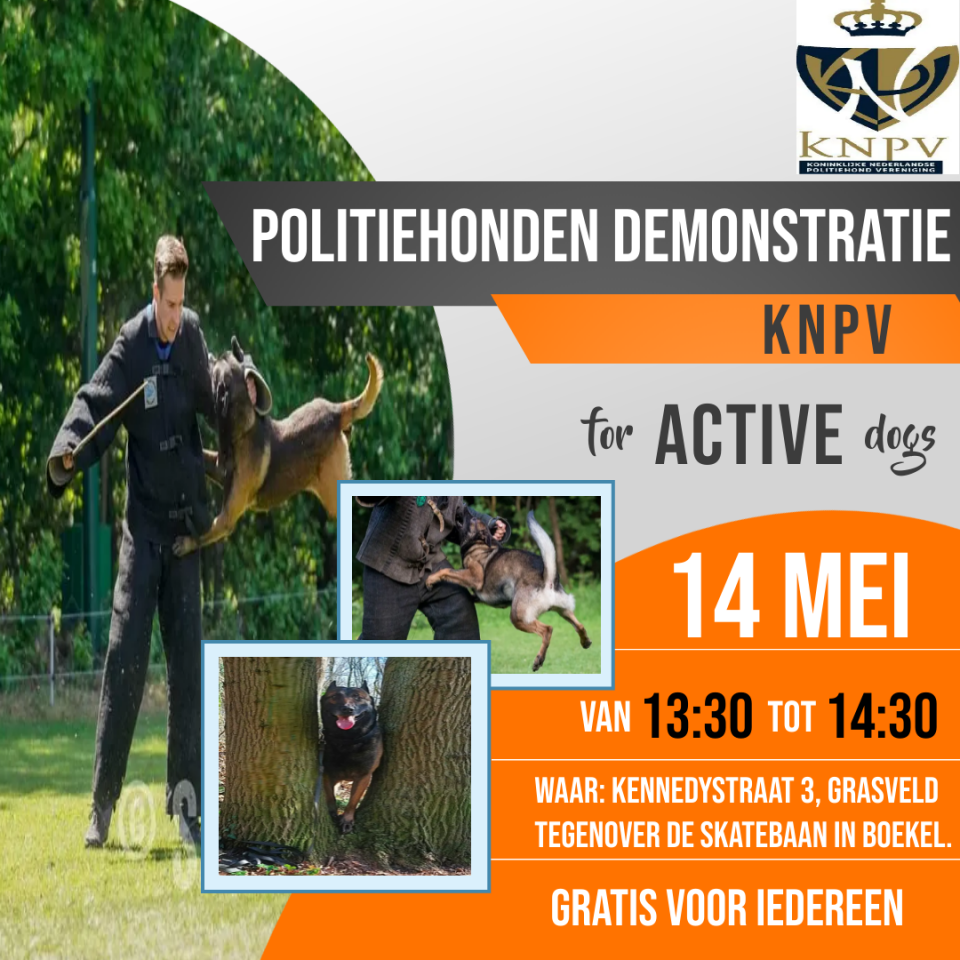 Politiehonden demonstratie KNPV