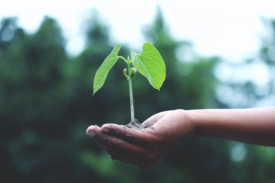 Inspiratieworkshop ‘Groei in zelfvertrouwen’