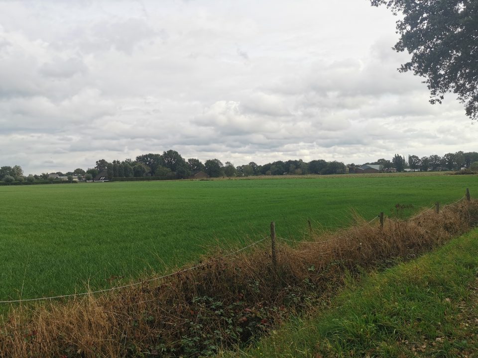 DOP: Buitengebied blijft buitengebied