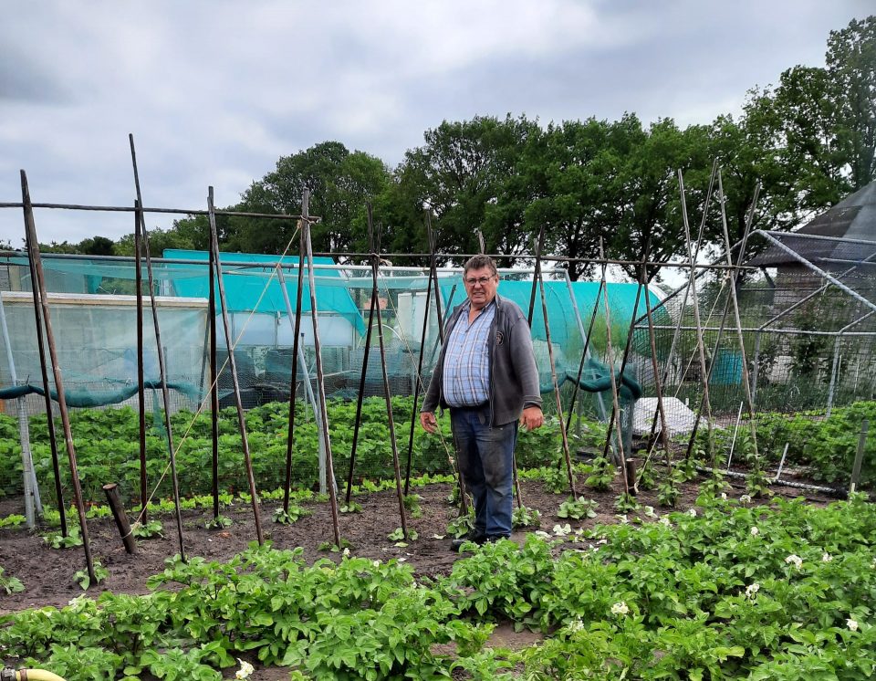 Samenwerking Volkstuinen en Deelplaats Boekel-Venhorst