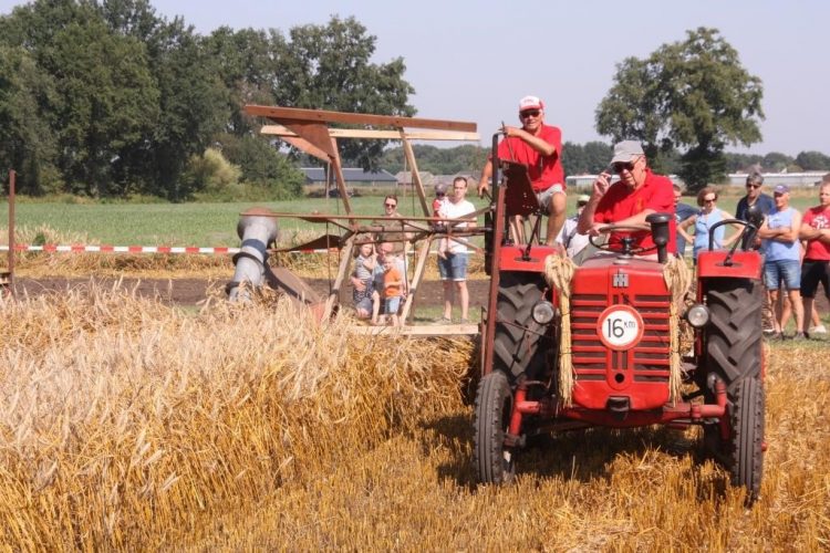 Auwerwetse Boekelse Oogstdag 2025