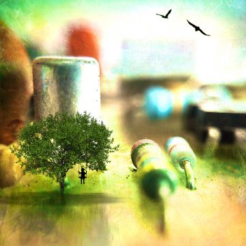 Workshop fotograferen met je smartphone