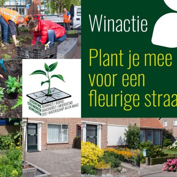 Winactie: Plant je mee voor een fleurige straat?