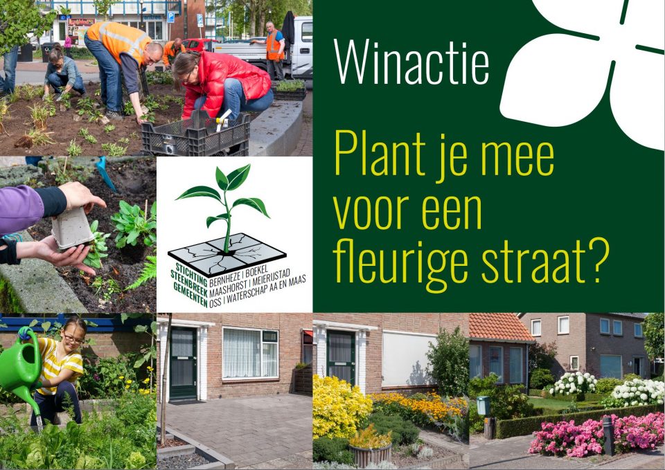 Winactie: Plant je mee voor een fleurige straat?