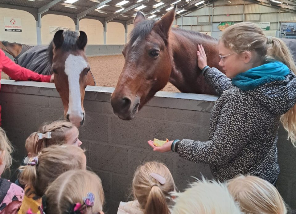 Zorgen voor … het paard!