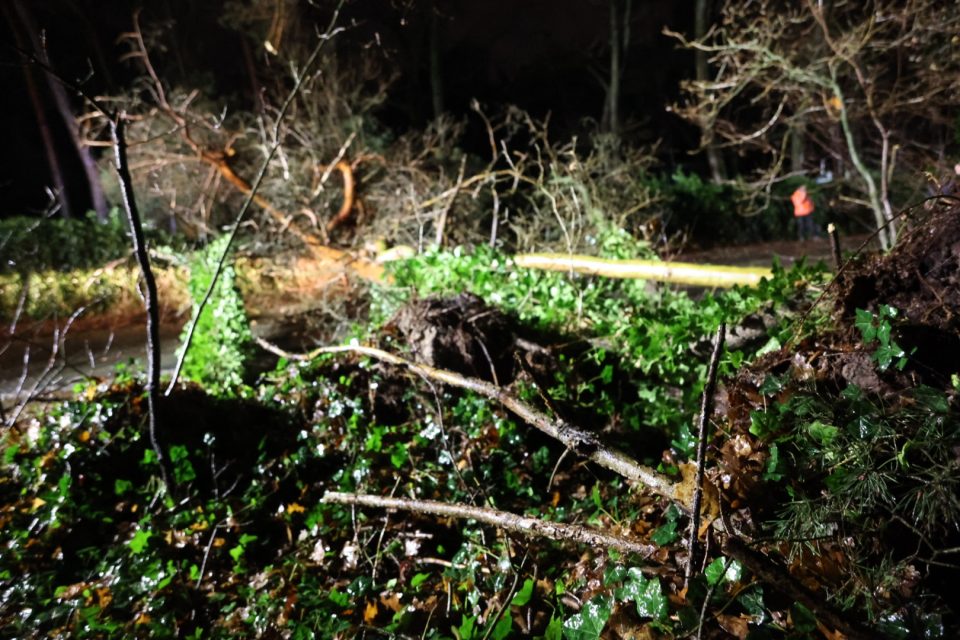 Forse boom blokkeert Peelstraat