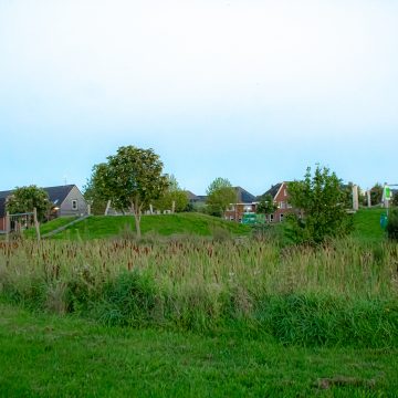 Gemeente Boekel en IBN-Facilitair gaan over tot unieke samenwerking ‘Groenbeheer’
