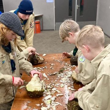 Installatie en weekenden bij Scouting Boekel