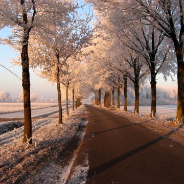 Oproep foto’s winterse taferelen en kerstsfeer!