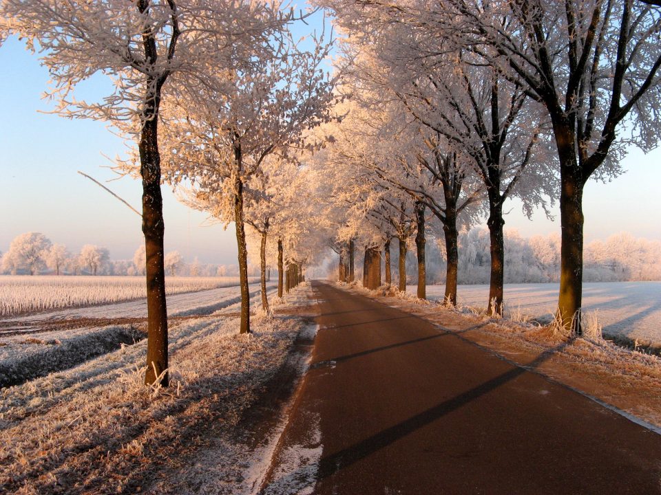 Oproep foto’s winterse taferelen en kerstsfeer!