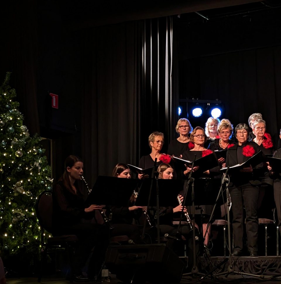 Van grappig tot ingetogen en vrolijk. Een kerstconcert vol variatie.
