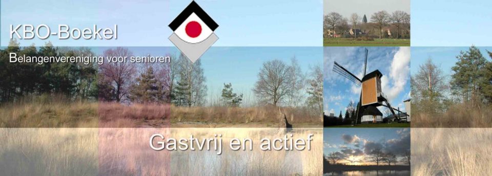 KBO Kunstgroep lezing schilder Johannes Vermeer