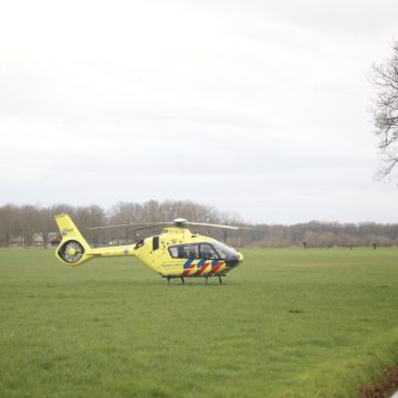 Man valt uit boom: traumateam ingezet