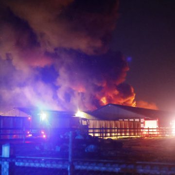 Brand verwoest stal aan de Molenakker