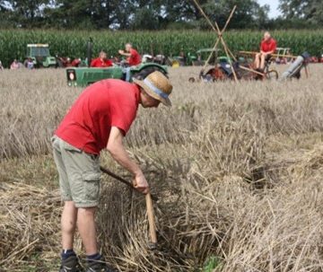 Auwerwetse Boekelse Oogstdag