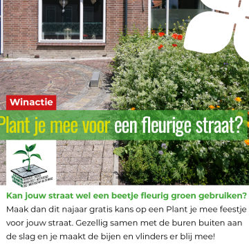 Winactie: Plant je mee voor een fleurige straat?