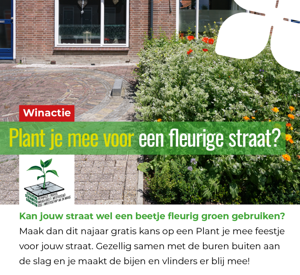 Winactie: Plant je mee voor een fleurige straat?