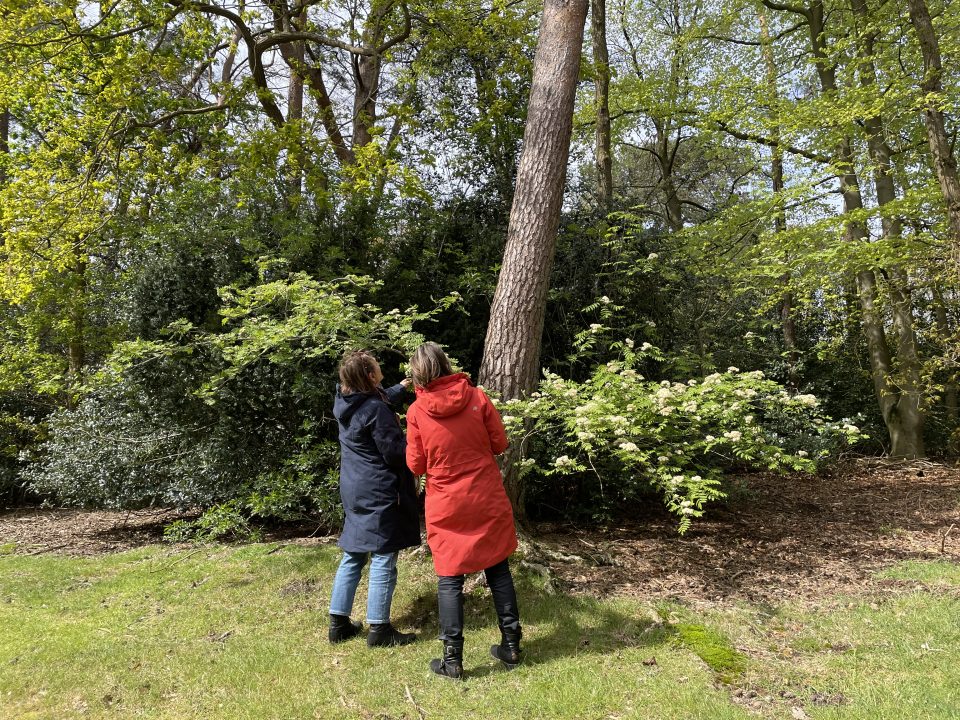GGZ Oost Brabant, locatie Huize Padua gekozen tot groene icoonlocatie