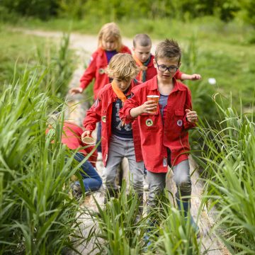 Nieuw: bevergroep op zaterdagmiddag!
