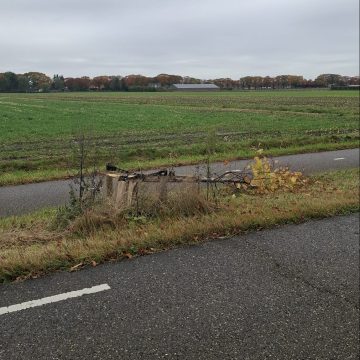 Weer geval van vandalisme: bomen aan de Telefoonstraat in Venhorst vernield