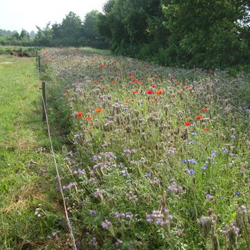 BoerenNatuur Brabant Oost organiseert bijeenkomsten voor erfbetreders