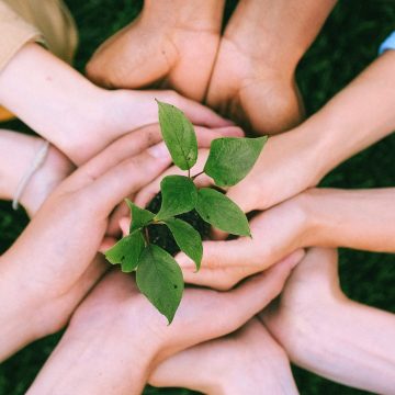 Hulp gezocht voor pluktuin Zorgcentrum Sint Petrus!