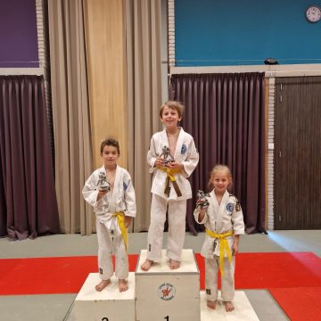 Judoclub Boekel schittert op regiotoernooi!