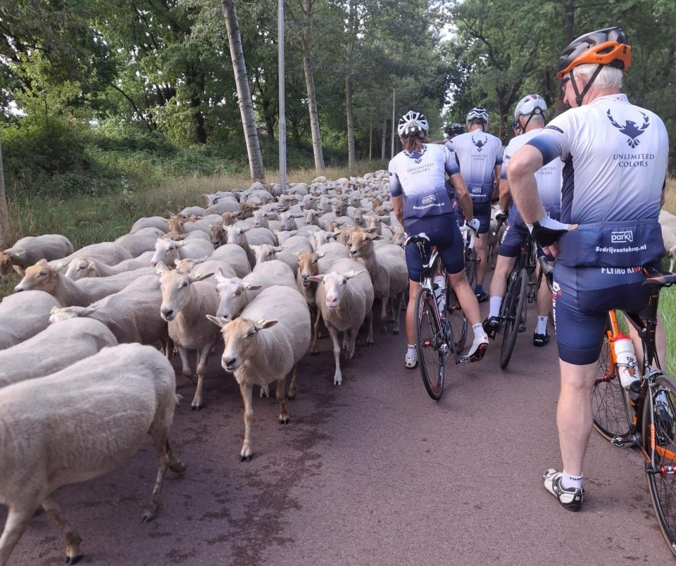 Verslag WTC Boekel, B groep , de Majoor de Ruytertocht