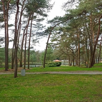 124 huisjes in de Boekelse bossen