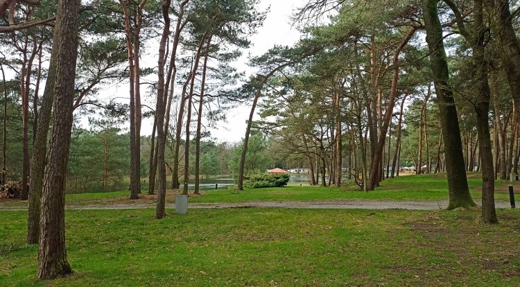 124 huisjes in de Boekelse bossen