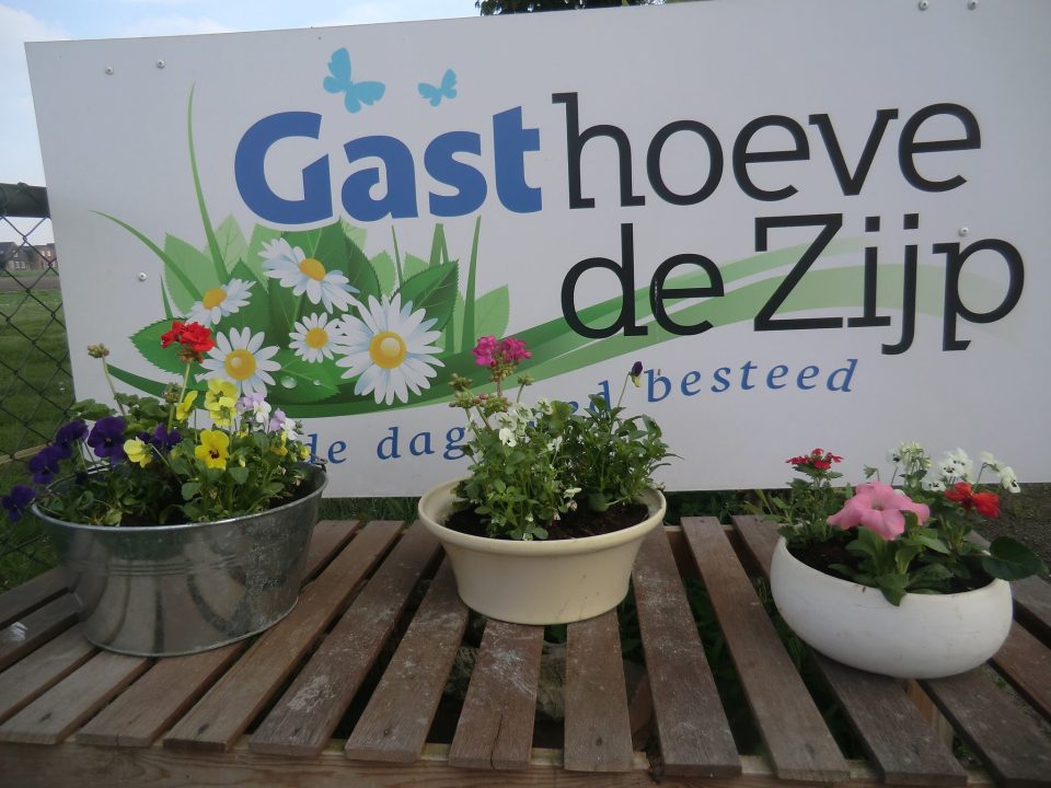 Gasthoeve de Zijp viert 12,5-jarig jubileum met feestelijke open dag