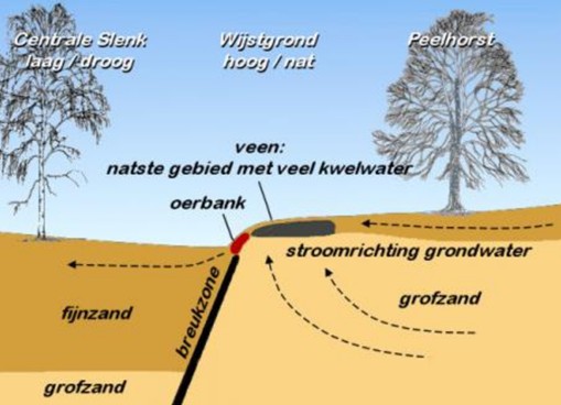 Informatieavond inrichting Parkzone Peelrandbreuk