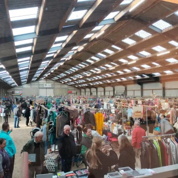 Rommelmarkt Rutger van Herpenruiters
