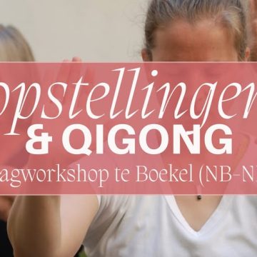 Chi Neng Qigong en Familieopstellingen: een gouden combinatie bij Yishi