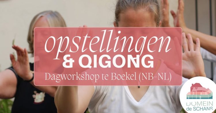 Chi Neng Qigong en Familieopstellingen: een gouden combinatie bij Yishi
