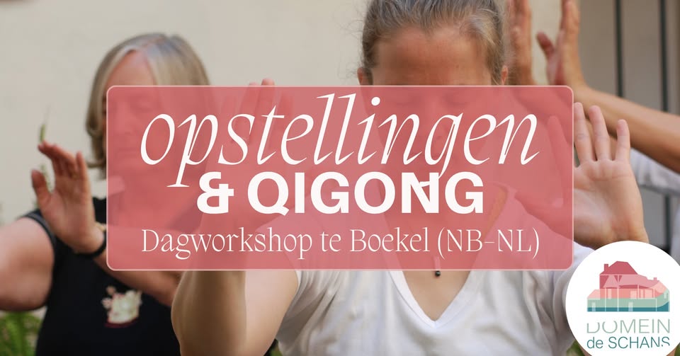 Chi Neng Qigong en Familieopstellingen: een gouden combinatie bij Yishi
