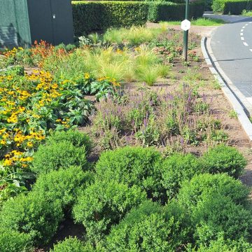 Gratis planten ophalen bij de mini-milieustraat