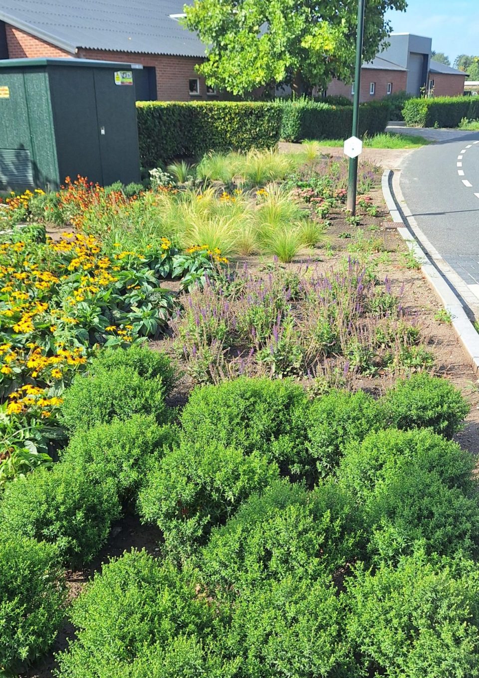 Gratis planten ophalen bij de mini-milieustraat