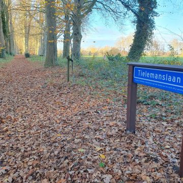 Herinnering aan Thomas Tielemans